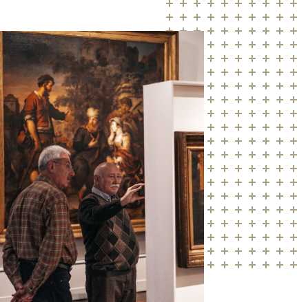 Image module